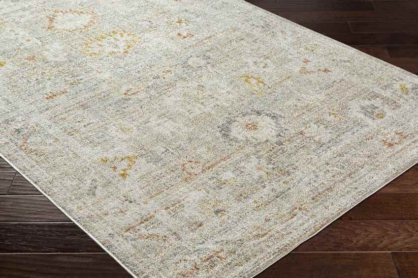 Absalon Traditional Burnt Orange/Light Beige Area Rug-1