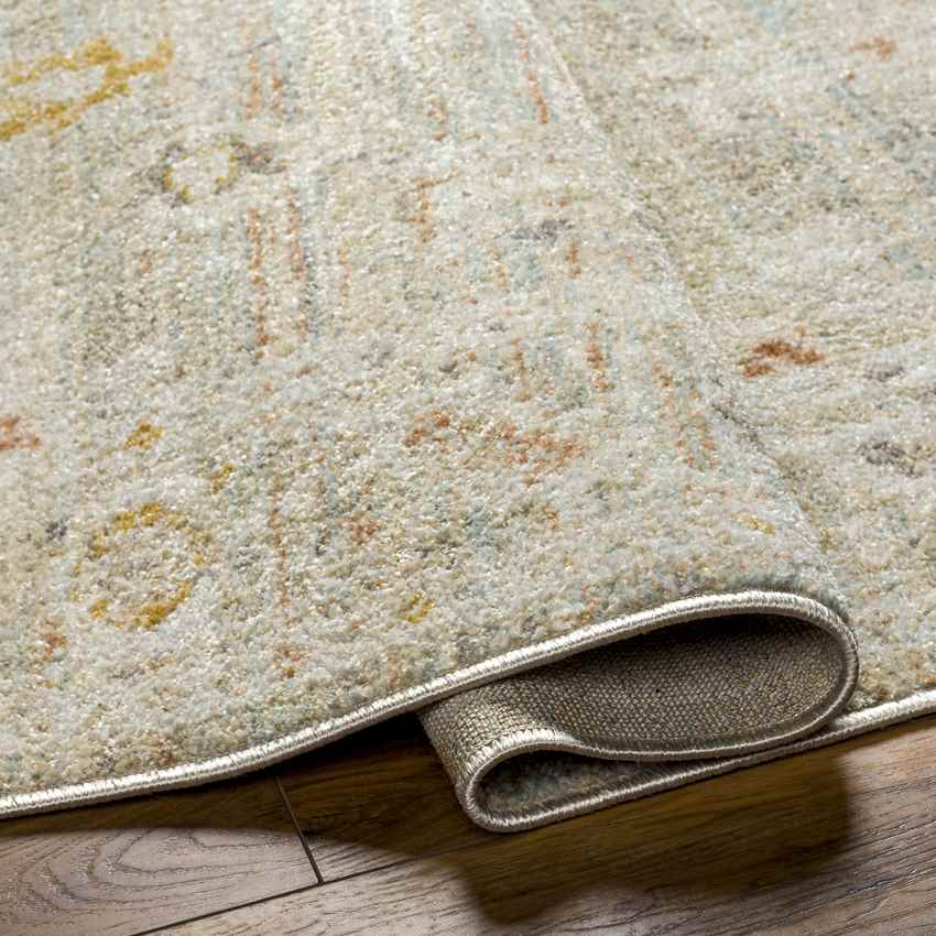 Absalon Traditional Burnt Orange/Light Beige Area Rug-2