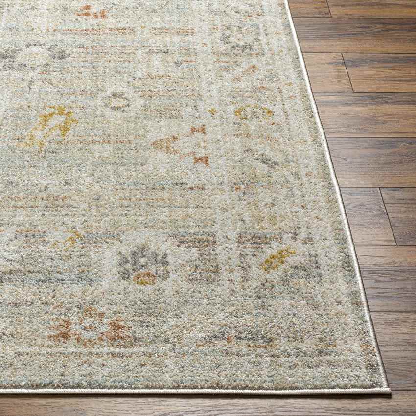 Absalon Traditional Burnt Orange/Light Beige Area Rug-4
